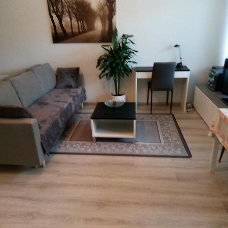 Parantolankatu Modern One Room Apartment Hyvinkaa Luaran gambar