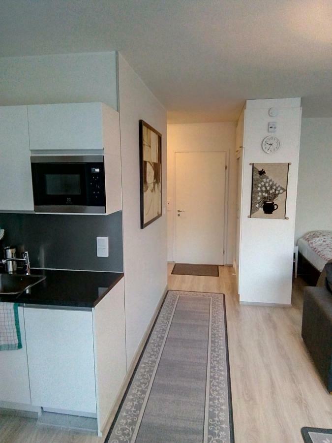 Parantolankatu Modern One Room Apartment Hyvinkaa Luaran gambar